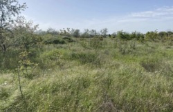 ��������� ������ ����������� (���������), ����������� (���������), ������� ���� 3