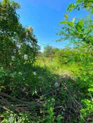 � ������� �������� ������ ��� ����! ���� 5