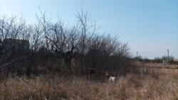 Продається ділянка розміром 5,6 сотки, що знаходиться в 10 хвилинах їзди від Чорноморська. фото 5 Продається ділянка розміром 5,6 сотки, що знаходиться в 10 хвилинах їзди від Чорноморська. фото 5