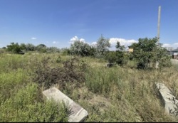 ��������� ������ ����������� (���������), ����������� (���������), ������� ���� 8