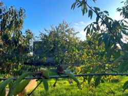 Продаж земельної ділянки з шикарним краєвидом на озеро! фото 4 Продаж земельної ділянки з шикарним краєвидом на озеро! фото 4