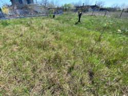 Продам ділянку на Ветерані! фото 3 Продам ділянку на Ветерані! фото 3