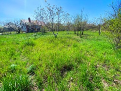 У продажу хороша ділянка на Ветерані! фото 1 У продажу хороша ділянка на Ветерані! фото 1