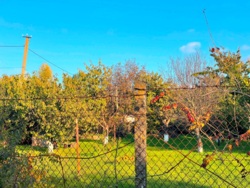 Продаж земельної ділянки з шикарним краєвидом на озеро! фото 10 Продаж земельної ділянки з шикарним краєвидом на озеро! фото 10