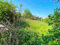 � ������� �������� ������ ��� ����! ���� 1