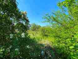 � ������� �������� ������ ��� ����! ���� 6