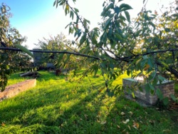 Продаж земельної ділянки з шикарним краєвидом на озеро! фото 3 Продаж земельної ділянки з шикарним краєвидом на озеро! фото 3