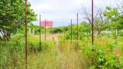 � ������� ĳ����� � �������� ̳��! ����� � ̳��� �� ����! ���� 1