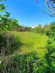 � ������� �������� ������ ��� ����! ���� 3