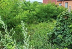 Продаж земельної ділянки в місті біля моря! фото 1 Продаж земельної ділянки в місті біля моря! фото 1