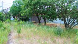 � ������� ĳ����� � �������� ̳��! ����� � ̳��� �� ����! ���� 2