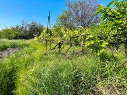 Продаж земельної ділянки біля моря! фото 4 Продаж земельної ділянки біля моря! фото 4