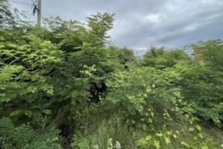 Продаж земельної ділянки в місті біля моря! фото 9 Продаж земельної ділянки в місті біля моря! фото 9