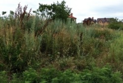 Продаж земельної ділянки в місті біля моря! фото 4 Продаж земельної ділянки в місті біля моря! фото 4