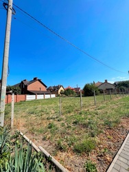 ��������� ������ ����������� (���������), ����������� (���������), ������� ���� 7