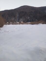 Земельна ділянка у у с.Микуличин пл. 46 сот, гарне планування,. фото 1 Земельна ділянка у у с.Микуличин пл. 46 сот, гарне планування,. фото 1