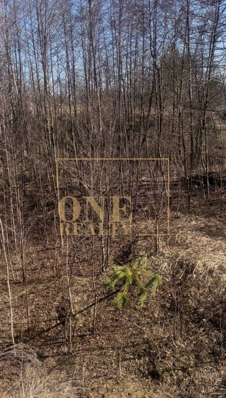 ĳ����� 25 ����� �������� ���� 1