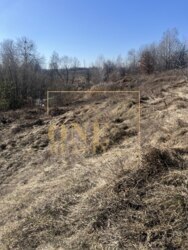 ĳ����� 25 ����� �������� ���� 4