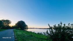 ��������� ������ ���, ����������� ���� 12