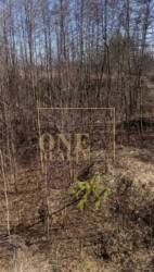 ĳ����� 25 ����� �������� ���� 1