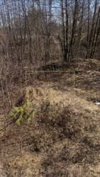 ĳ����� 25 ����� �������� ���� 2