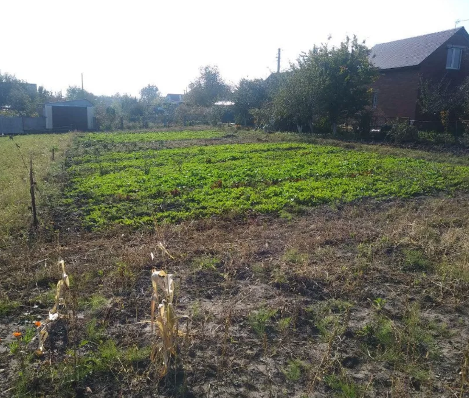 ��������� ������� �����������, �����������, ������� ���� 1