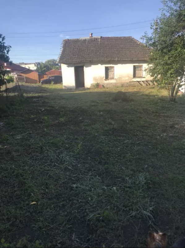 ��������� ������� �����������, �����������, ������� �������, ��������� ���� 1