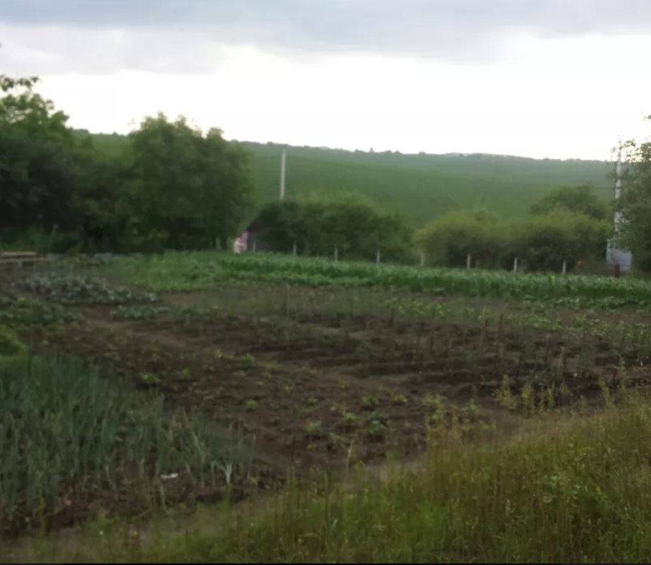 ��������� ������� �����������, �����������, ������ ���� 1