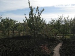 ������ �������� ������ ���� 1