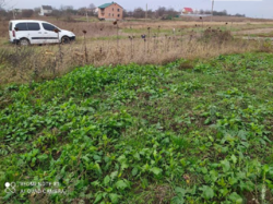 ������ ���� ��������������������� ����������� ���� 11