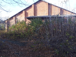 ��������� ������� �����������, �����������, ������� ���� 12