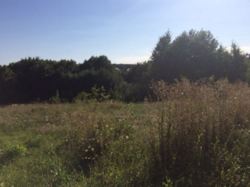 ������ �������� ������� ���� 4