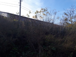 ��������� ������� �����������, �����������, ������� ���� 17