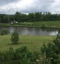 Продаж земельної ділянки фото 2 Продаж земельної ділянки фото 2