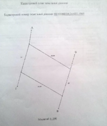 ��������� ������� �����������, �����������, ������� ���� 3