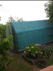 ��������� ������� �����������, �����������, ������ ���� 5