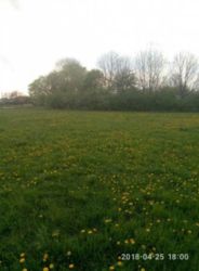 ��������� ������� 45���. ���� 2