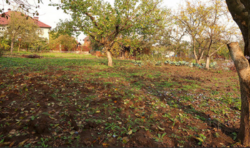 Продаж землі сільськогосподарського призначення фото 9 Продаж землі сільськогосподарського призначення фото 9