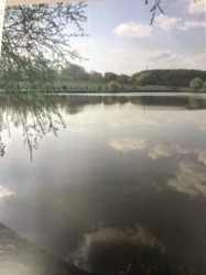 ��������� ������� �����������, �����������, �������������� ���� 27