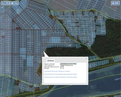 ��������� ������� �����������, �����������, ���-�������� ���� 1