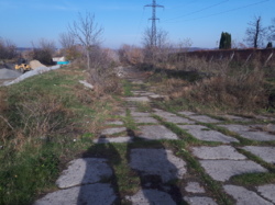 ��������� ������� �����������, �����������, ������� ���� 55