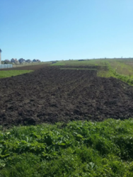 Продается участок Хмельницкий, Хмельницкая, Гречаны фото 2 Продается участок Хмельницкий, Хмельницкая, Гречаны фото 2