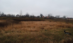 Продаж ділянки під житлову забудову фото 1 Продаж ділянки під житлову забудову фото 1