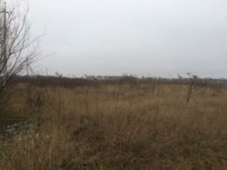 ��������� ������� �����������, �����������, ������� ������� ���� 5