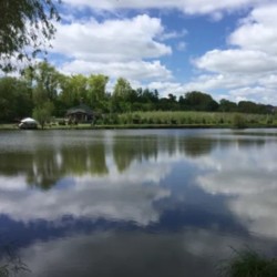 Продаж земельної ділянки фото 3 Продаж земельної ділянки фото 3