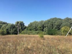 Продается участок Хмельницкий, Хмельницкая, Дендропарковый фото 1 Продается участок Хмельницкий, Хмельницкая, Дендропарковый фото 1