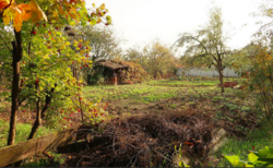 Продаж землі сільськогосподарського призначення фото 2 Продаж землі сільськогосподарського призначення фото 2