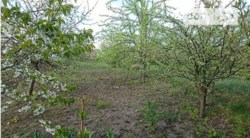 Продаж земельної ділянки фото 9 Продаж земельної ділянки фото 9