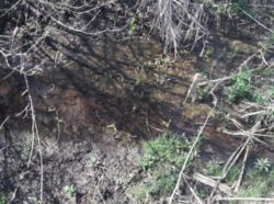 Продаж земельної ділянки фото 3 Продаж земельної ділянки фото 3