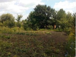 продаж земельної ділянки фото 2 продаж земельної ділянки фото 2